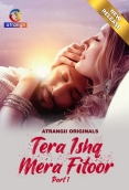 Tera Ishq Mera Fitoor 2024 S01 Part 1 Web Series Download