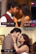 Namkeen Kisse (2025) ALTT S01E31T32 Web Series Download