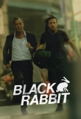 Black Rabbit (2025) Hindi Dubbed S01 Complete Web Series