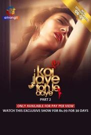 Koi Jaye Toh Le Aaye 2024 S01 Part 2 Web Series Download (2024)